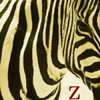 Zebra Z