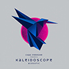 Chad Perrone - Kaleidoscope
